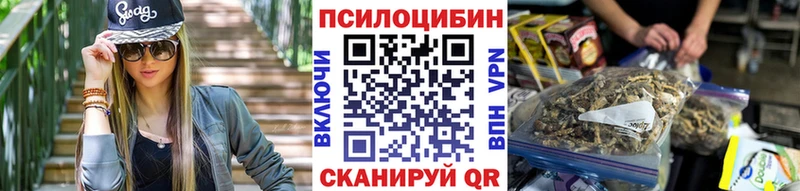 Купить где  Казань  Псилоцибиновые грибы Cubensis 